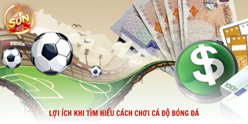 Lợi ích khi tìm hiểu cách chơi cá độ bóng đá 