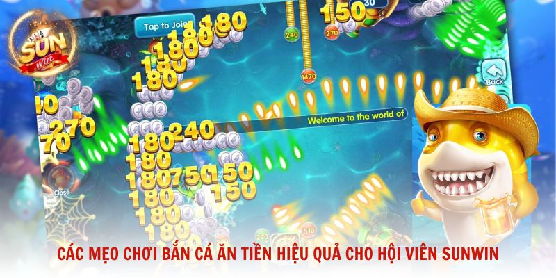 Các mẹo chơi bắn cá ăn tiền hiệu quả cho hội viên Sunwin