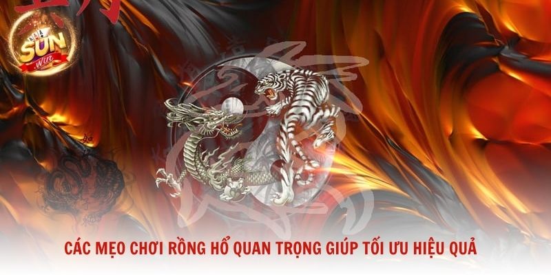 Các mẹo chơi Rồng Hổ quan trọng giúp tối ưu hiệu quả tại Sunwin
