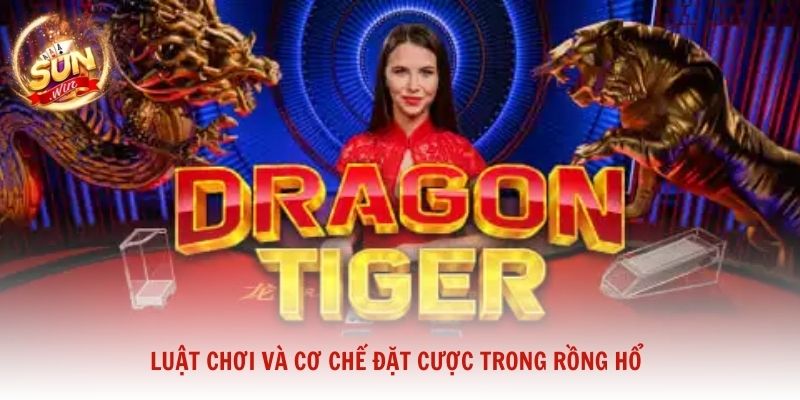 Luật chơi và cơ chế đặt cược trong Rồng Hổ dành cho người muốn nắm vững cơ hội