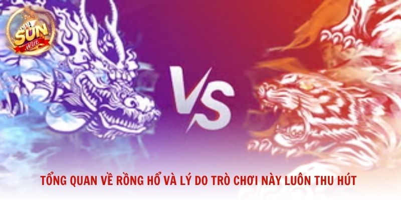 Tổng quan về Rồng Hổ và lý do trò chơi này luôn thu hút đông đảo người chơi