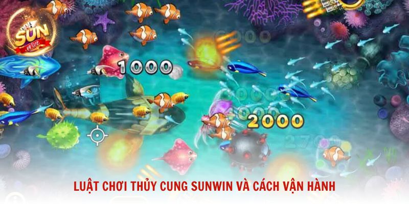 Luật chơi Thủy Cung Sunwin và cách vận hành giúp người mới nắm bắt nhanh chóng